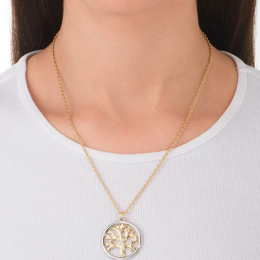 58_11cbf8e4-13a6-4127-943e-2f5d2ae7bf3b - Pauline's Tienda