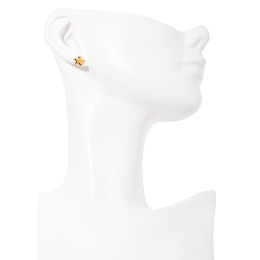 Aretes tipo broquel en forma de estrella